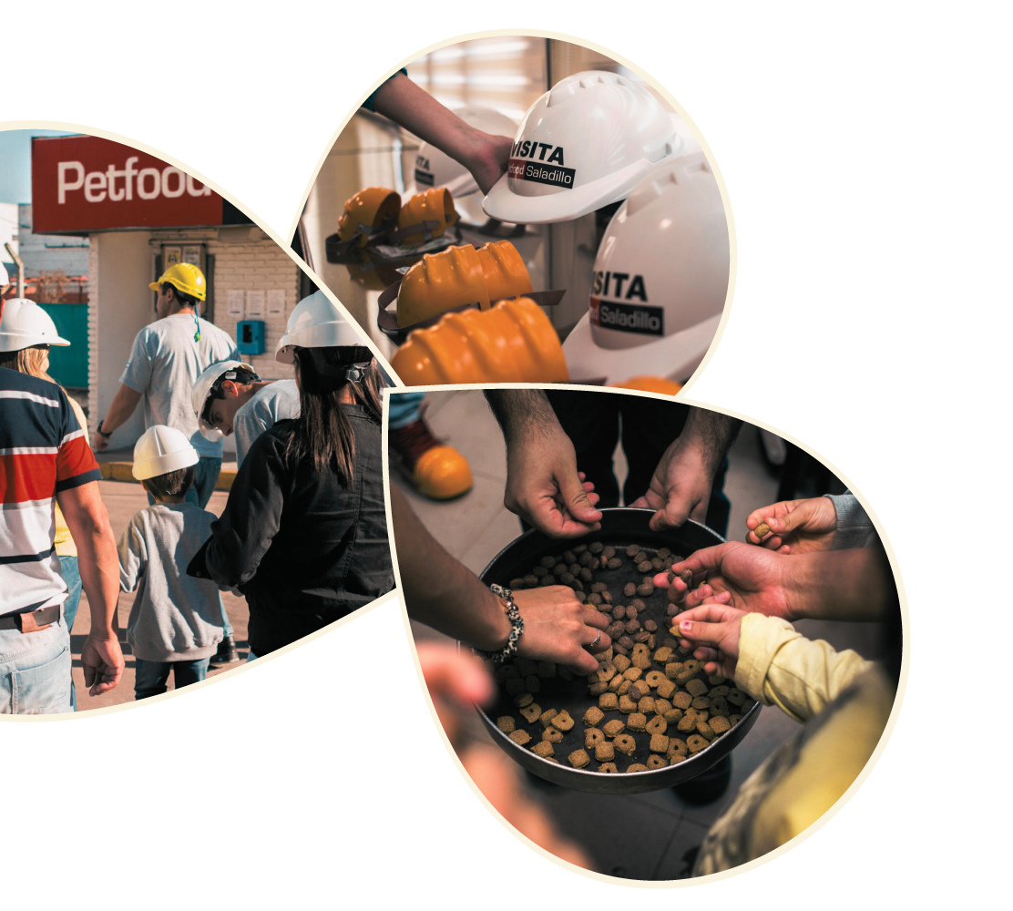 Collage impacto social (reemplazar)