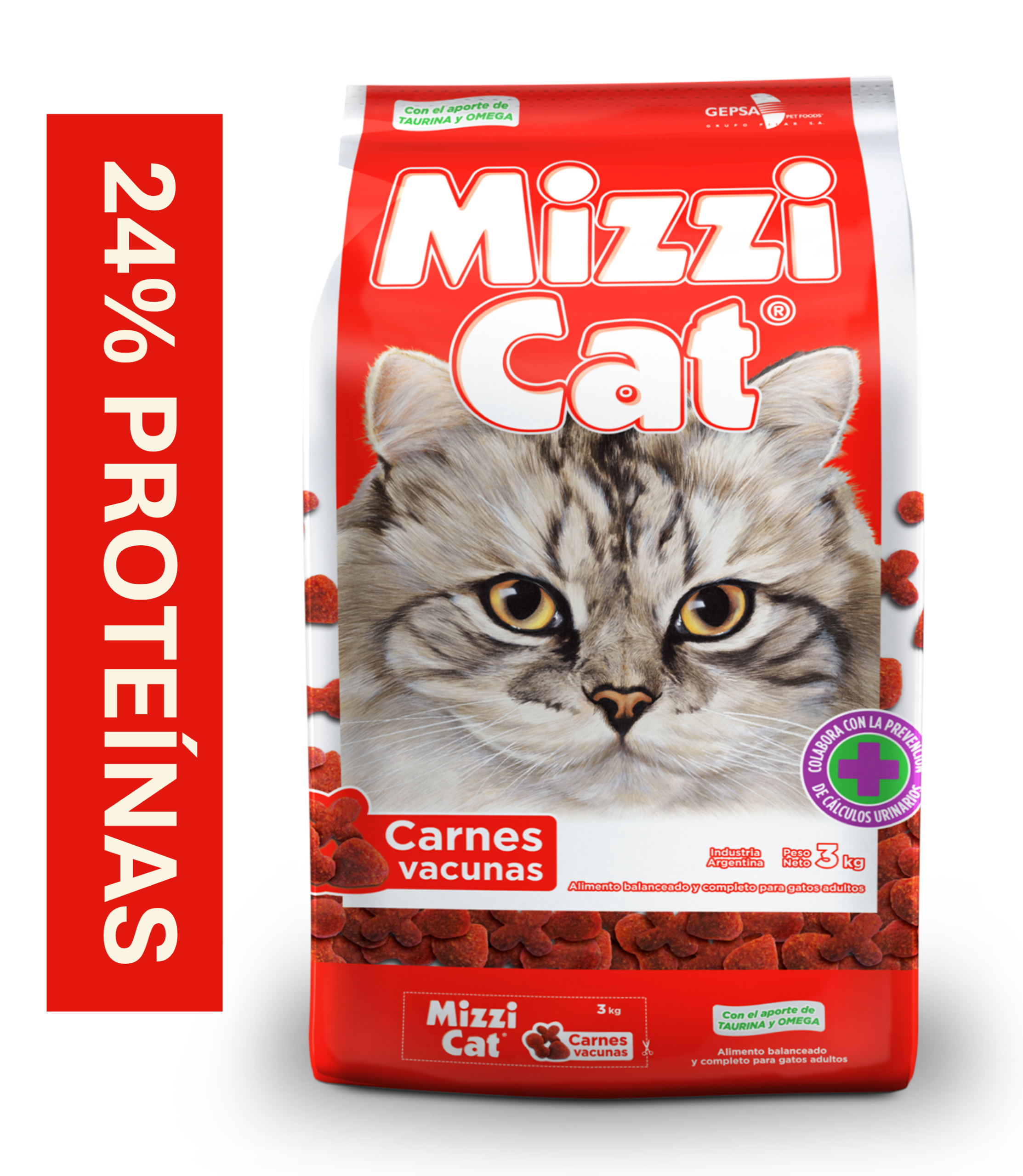 mizzicat2