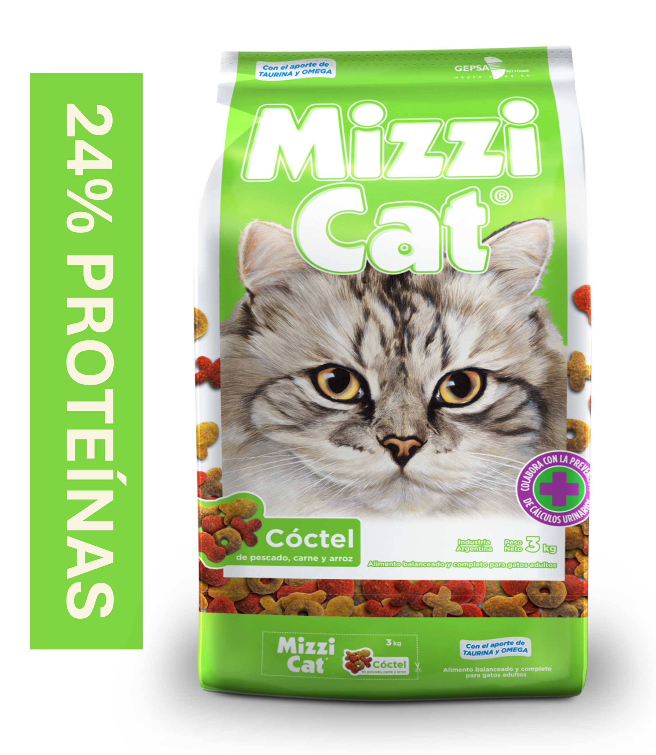 mizzicat3
