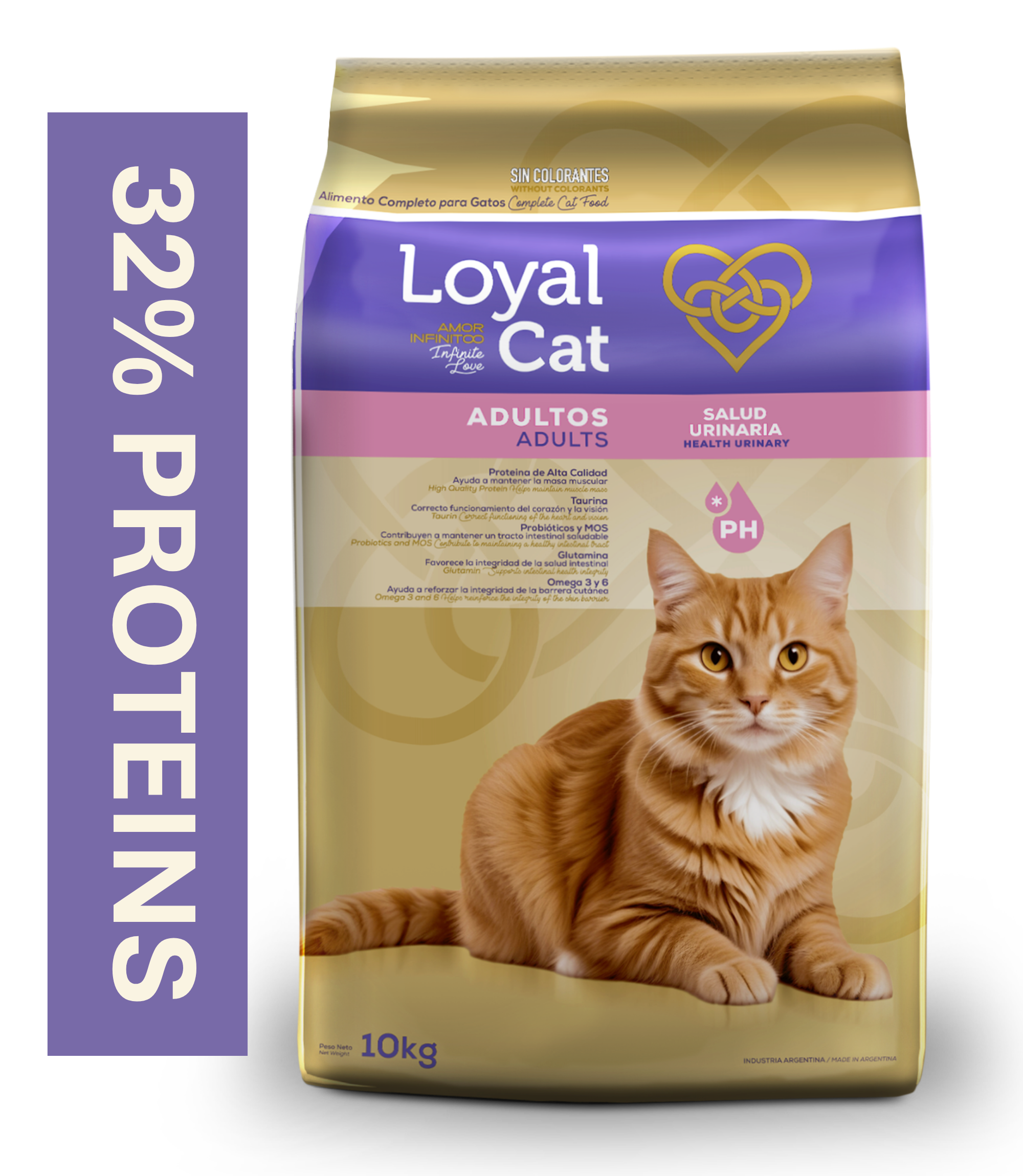 loyalc-2