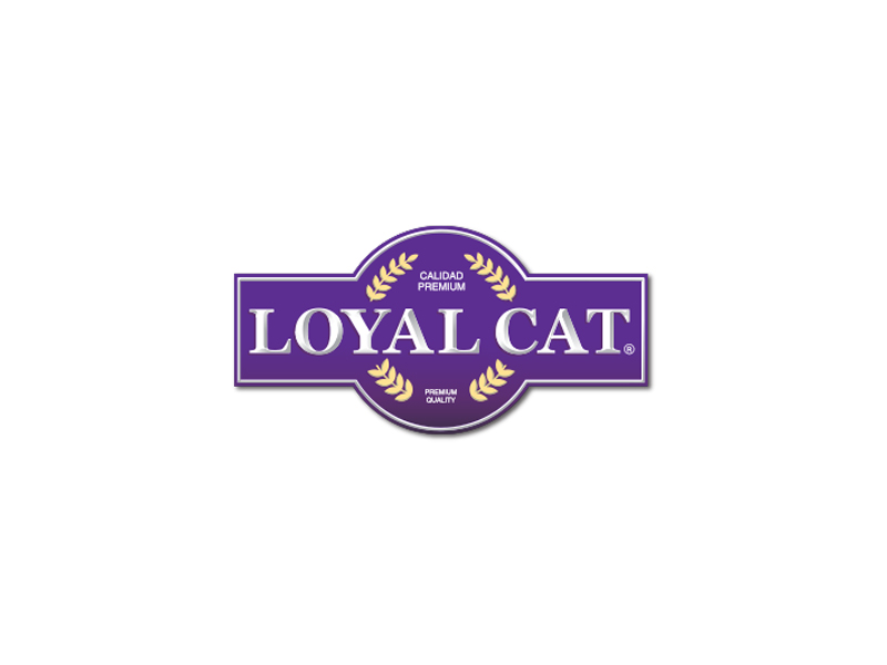 Loyal Cat